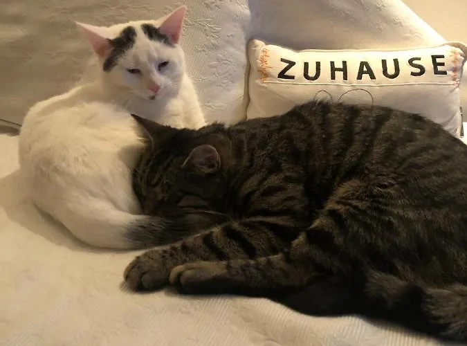 Stilvoll Urlaub Machen! Apartment